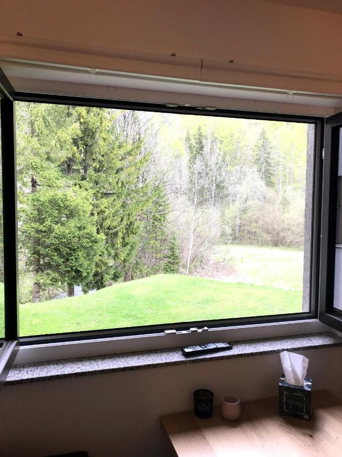 Apartment Loyd, Kranjska Gora - Studio 외부 사진